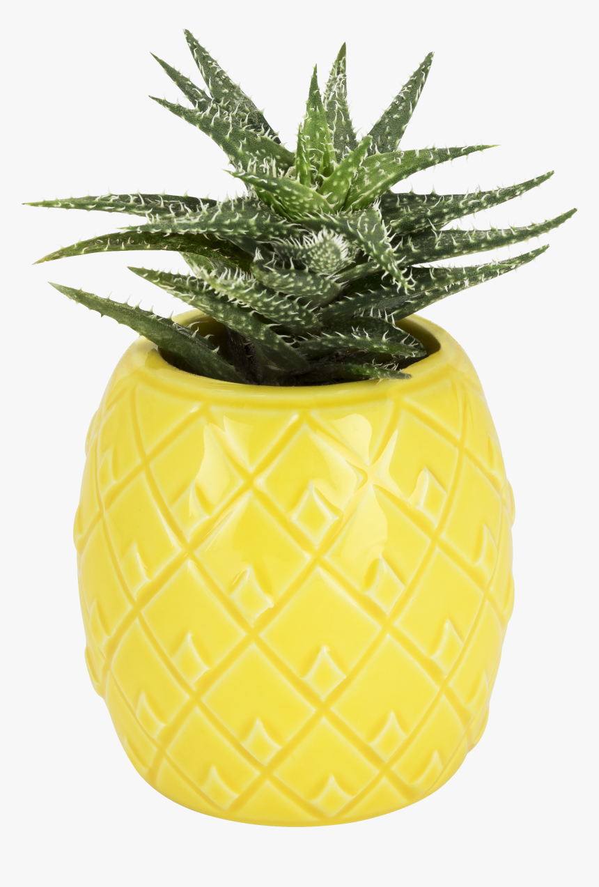 Pineapple Planter By Truezoo, HD Png Download, Free Download