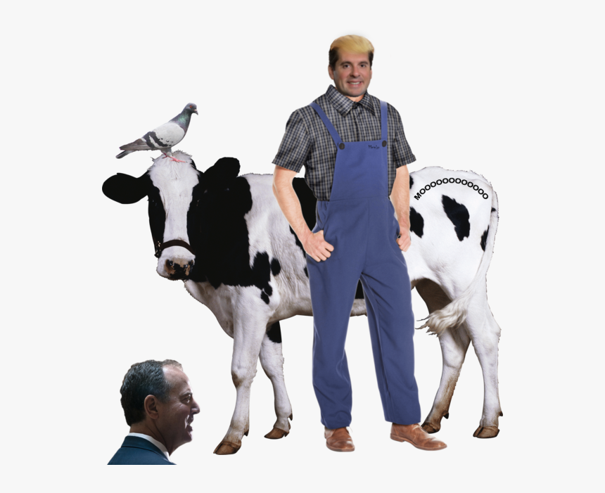 [​img] - Cow Png, Transparent Png, Free Download