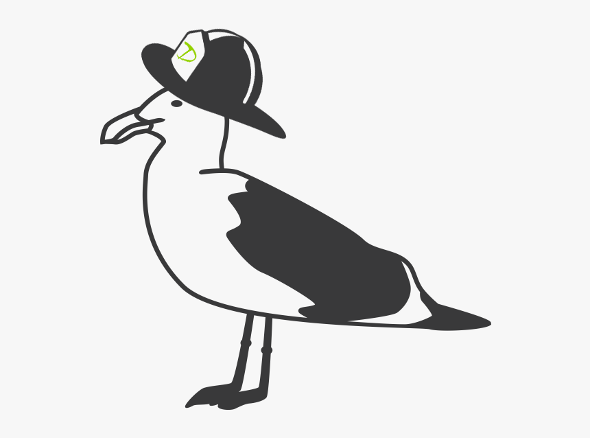 Gull - Cartoon, HD Png Download, Free Download