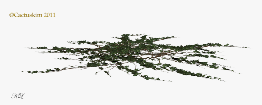 Tree Leaves On Ground Png, Transparent Png, Free Download