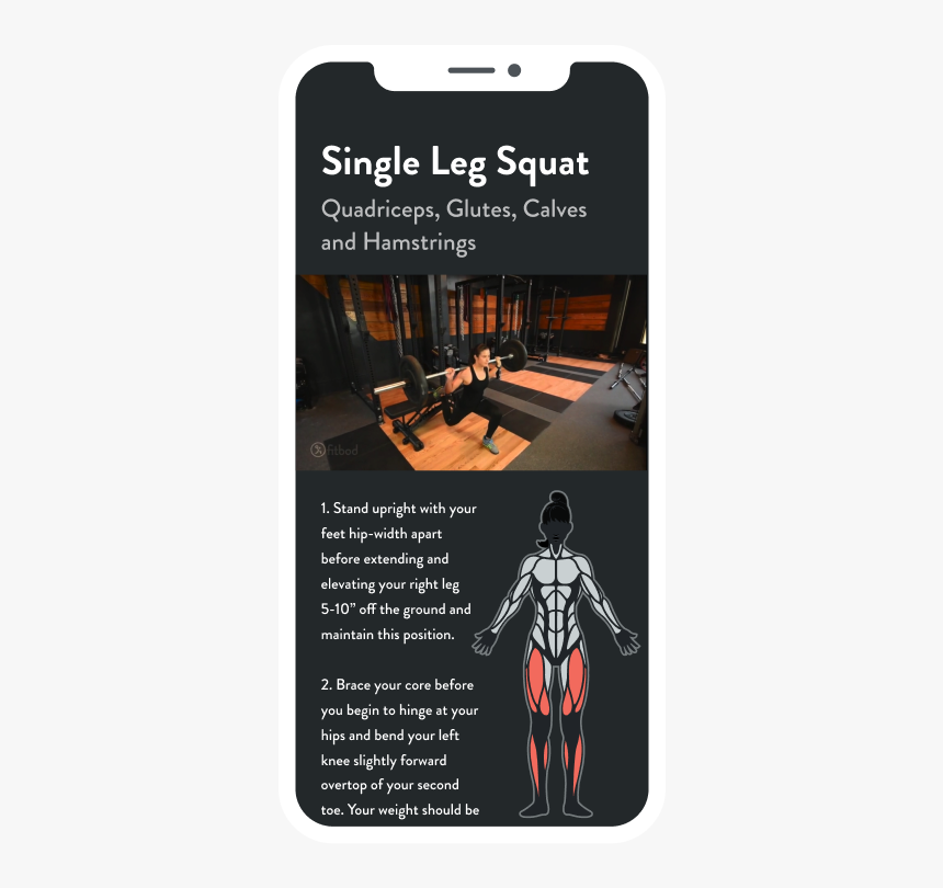 Single Leg Squat - Exercise, HD Png Download, Free Download