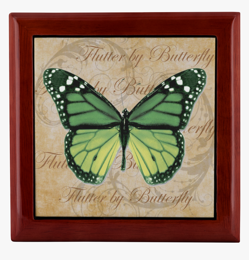 And Data-zoom="//cdn - Harry Palmer Avatar Butterfly, HD Png Download, Free Download