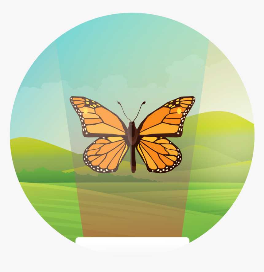 Monarch Butterfly, HD Png Download, Free Download