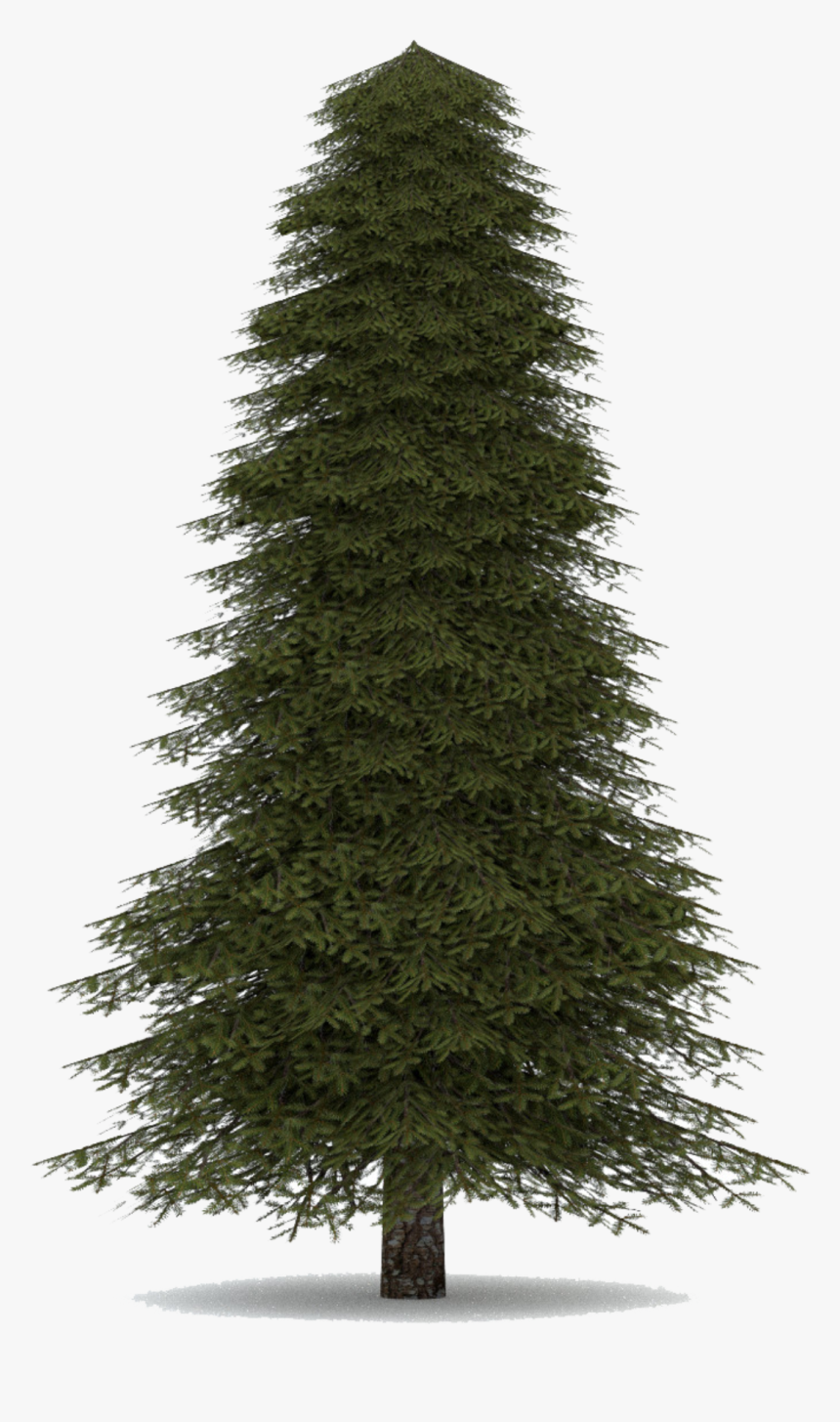 #pino - Artificial Christmas Trees, HD Png Download, Free Download