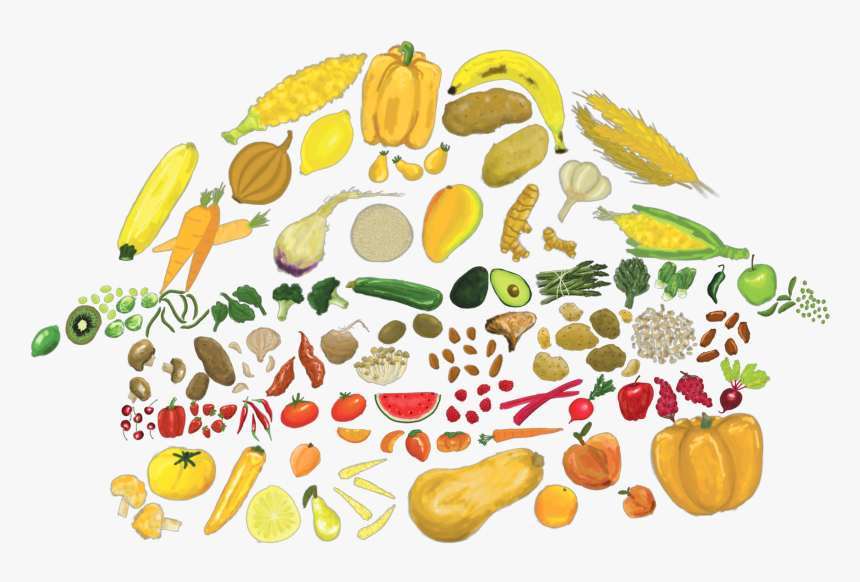 Plant Based Food Illustrations, HD Png Download, Free Download