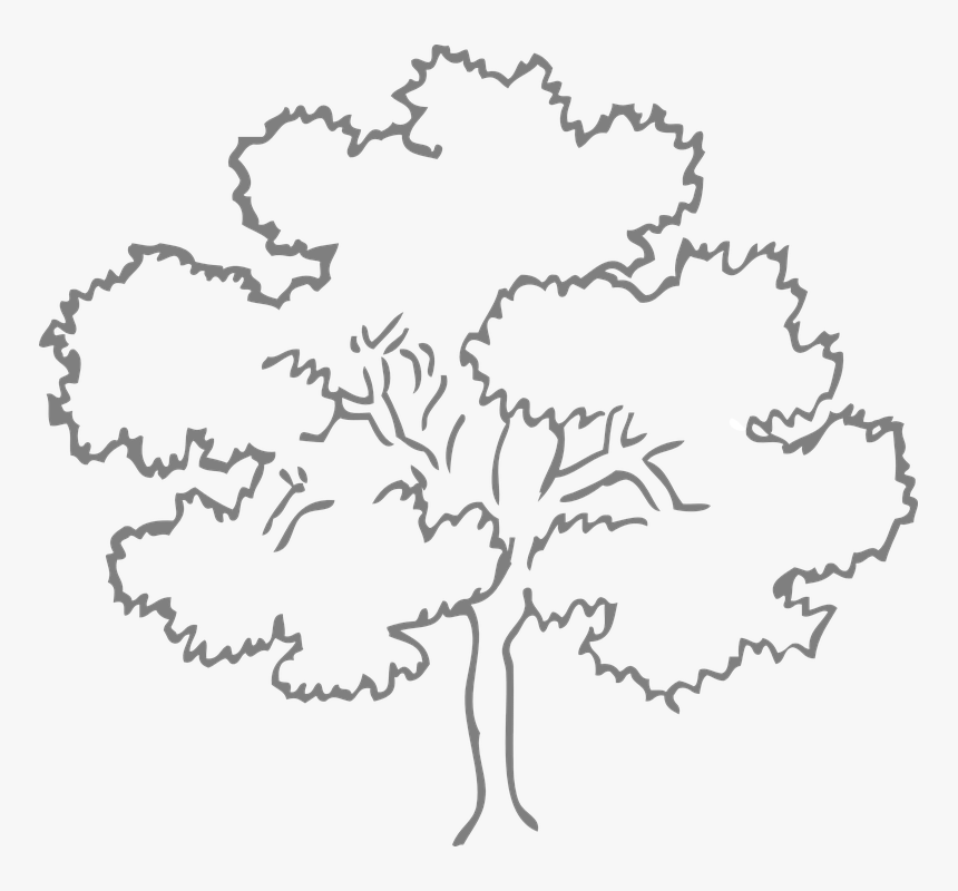 Transparent Oak Trees Png - Tree Clip Art, Png Download, Free Download