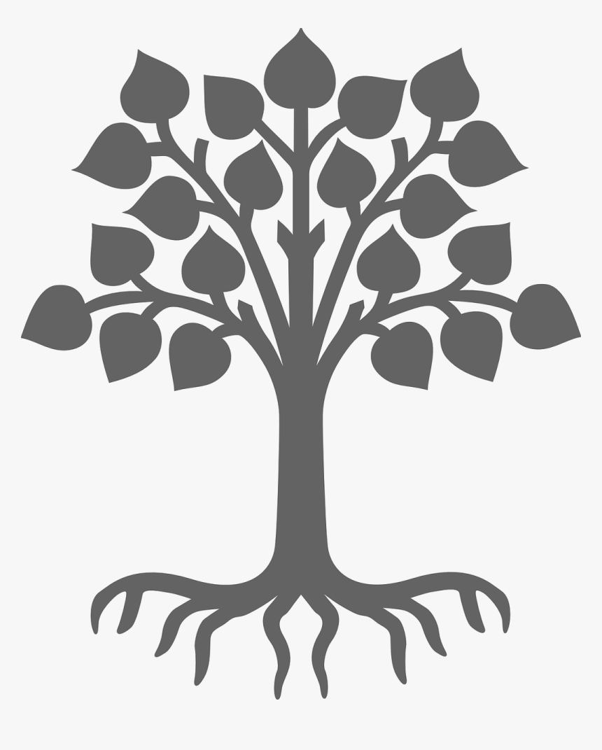 Tree With Roots And Leaves, HD Png Download, Free Download