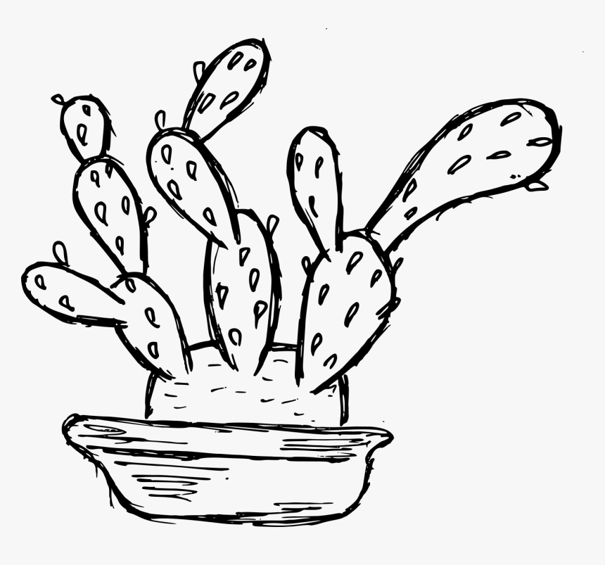 6 Cactus Drawing 5 - Cartoon, HD Png Download, Free Download