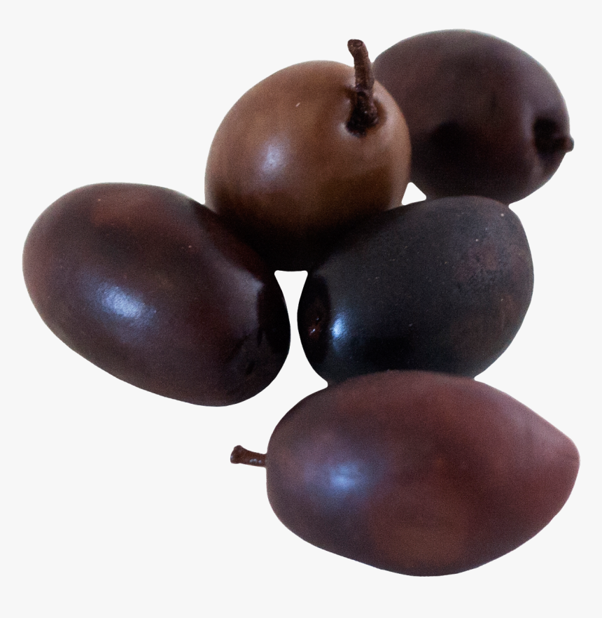 Bushfood, HD Png Download, Free Download