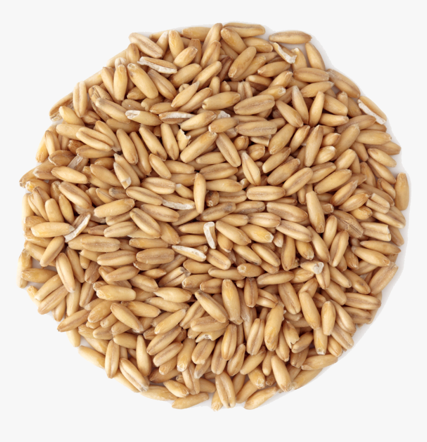 Small Pile Of Grain, HD Png Download, Free Download