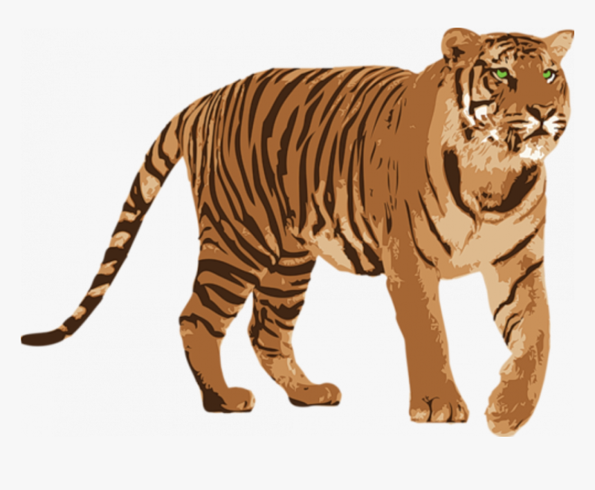 Standing Tiger Png - Tiger Png, Transparent Png, Free Download