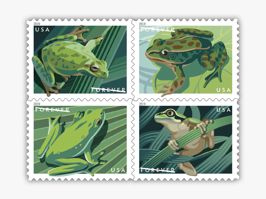 Usps Frog Stamps, HD Png Download, Free Download