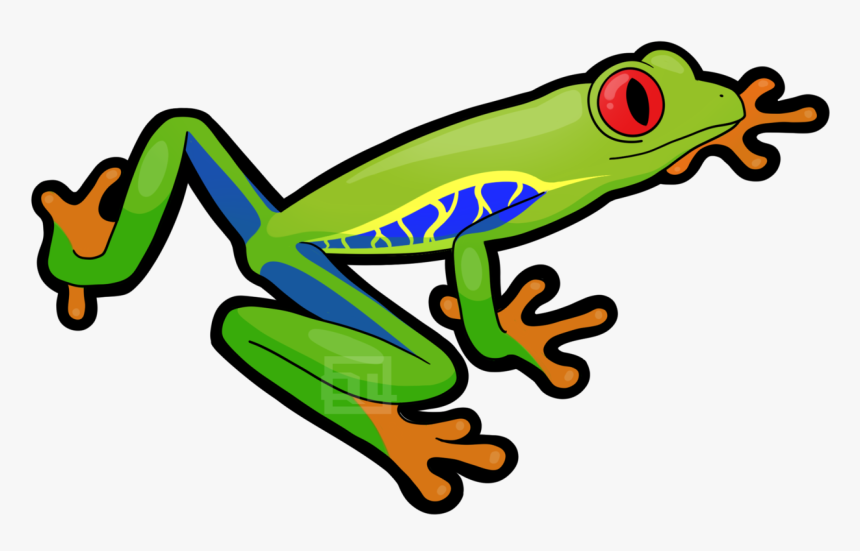 Red-eyed Tree Frog, HD Png Download, Free Download