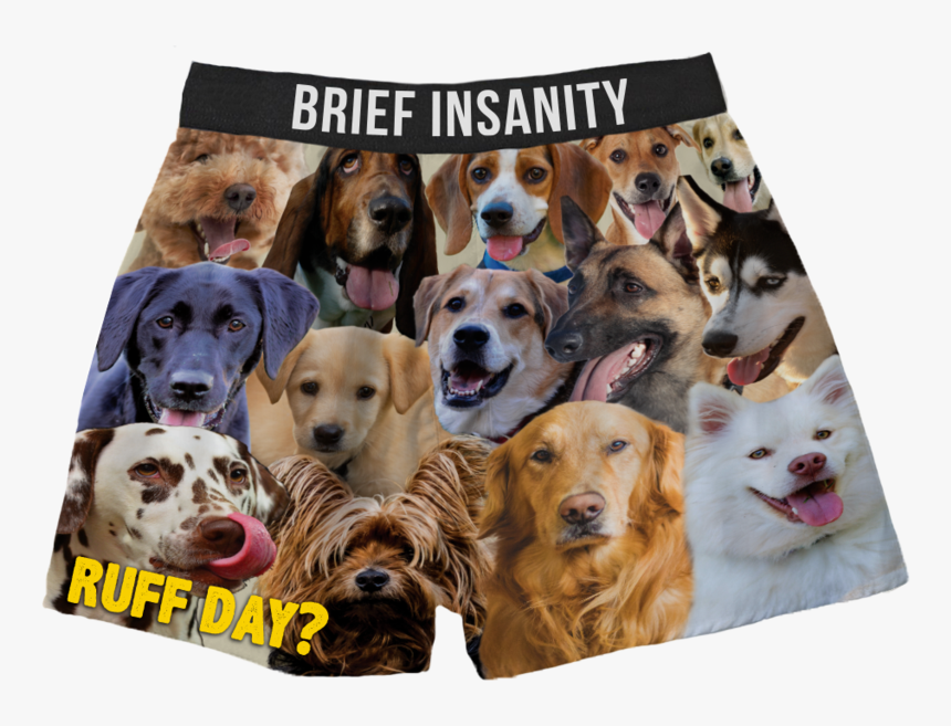 Ruff Day Dog Boxers - Dog Brief, HD Png Download, Free Download