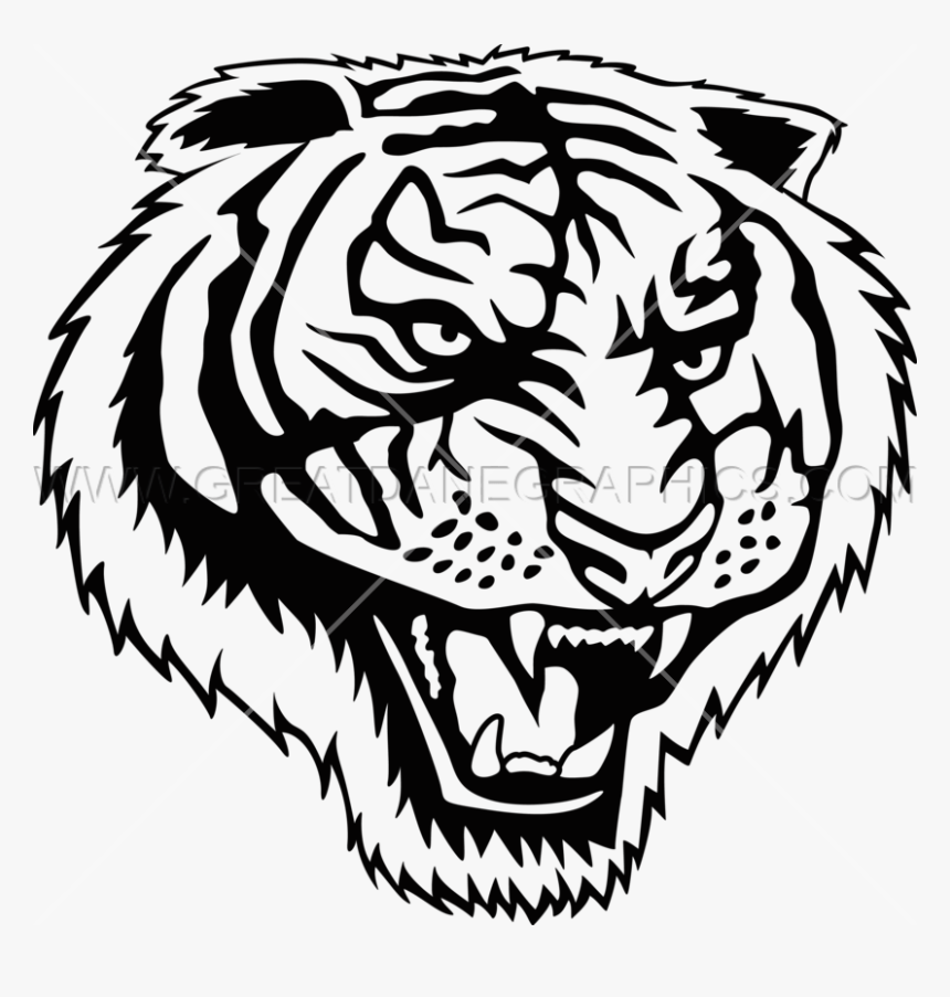 Tigers Drawing Roar - Roaring Tiger Png Clipart, Transparent Png, Free Download