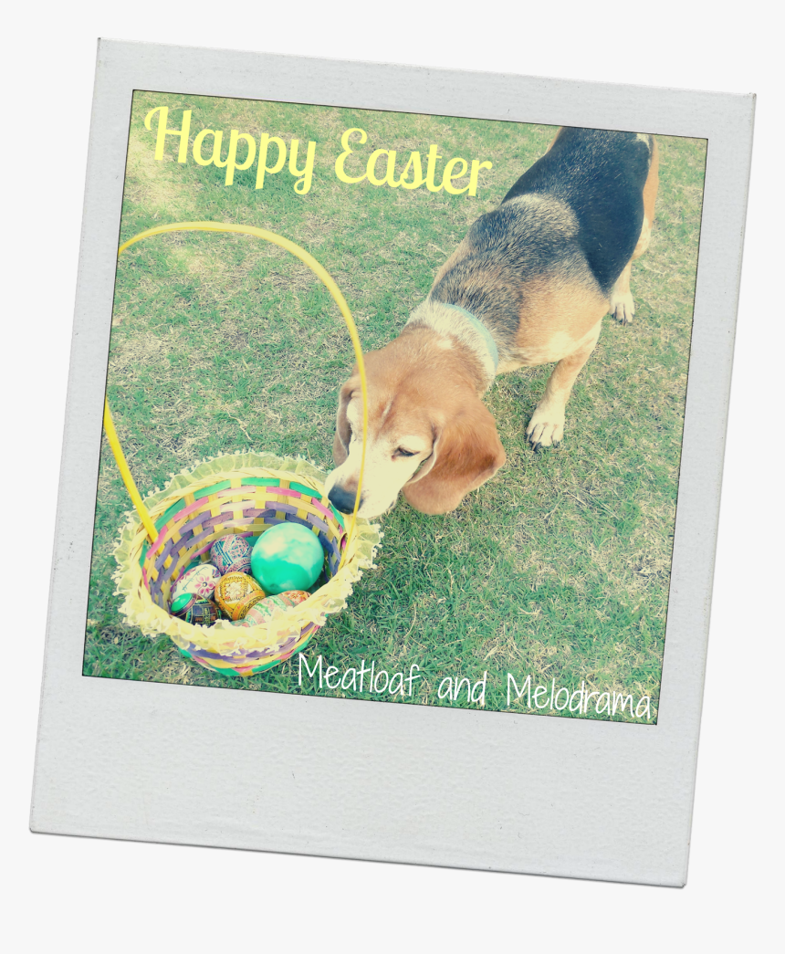 Beagle With Easter Basket - Especias, HD Png Download, Free Download