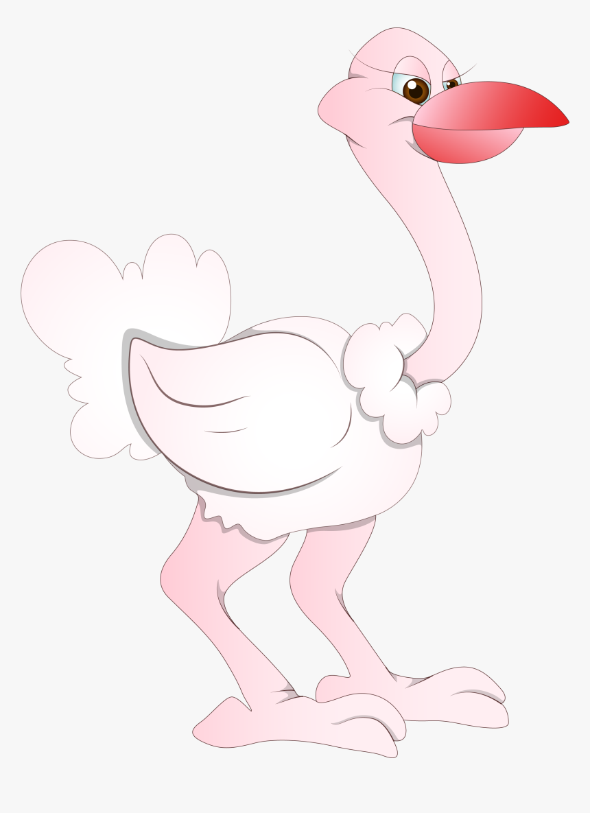 Drawing Feather Ostrich - Cartoon, HD Png Download, Free Download