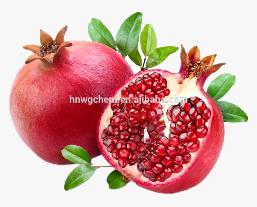 Pomegranate Png, Transparent Png, Free Download