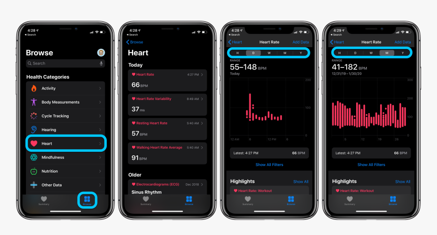 How To See Heart Rate History Apple Watch Iphone Walkthrough - Apple Watch 4 Pauses During Workout, HD Png Download, Free Download