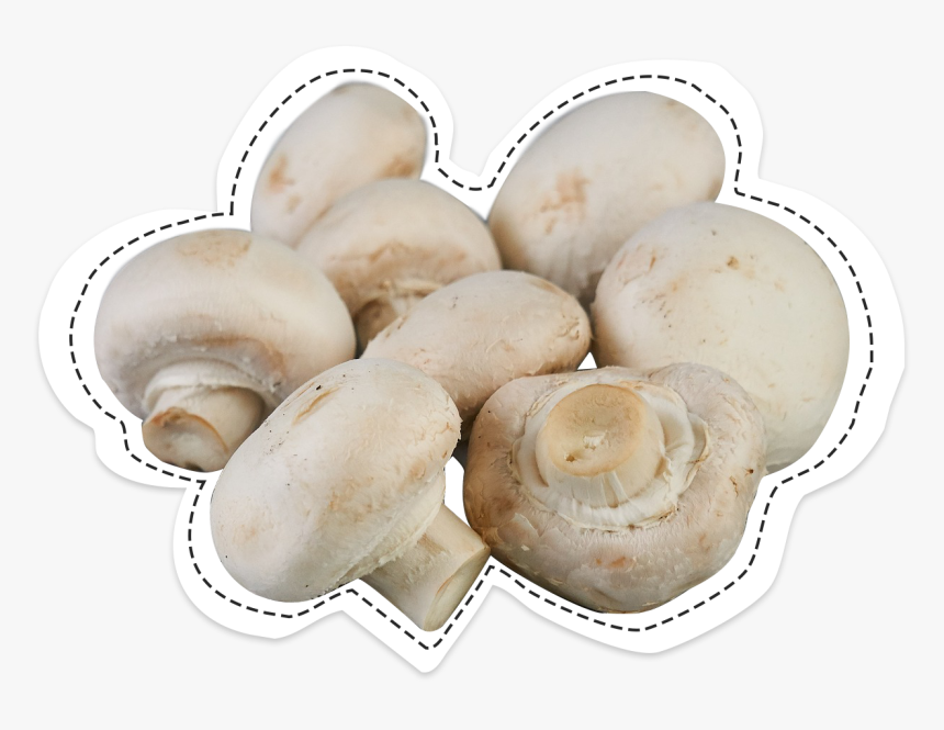 Champignons De Paris La Caverne - Agaricus Bisporus, HD Png Download, Free Download