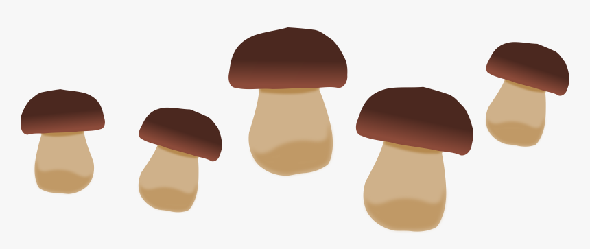 Mushrooms Vector Sliced Mushroom - Mushrooms Clipart, HD Png Download, Free Download