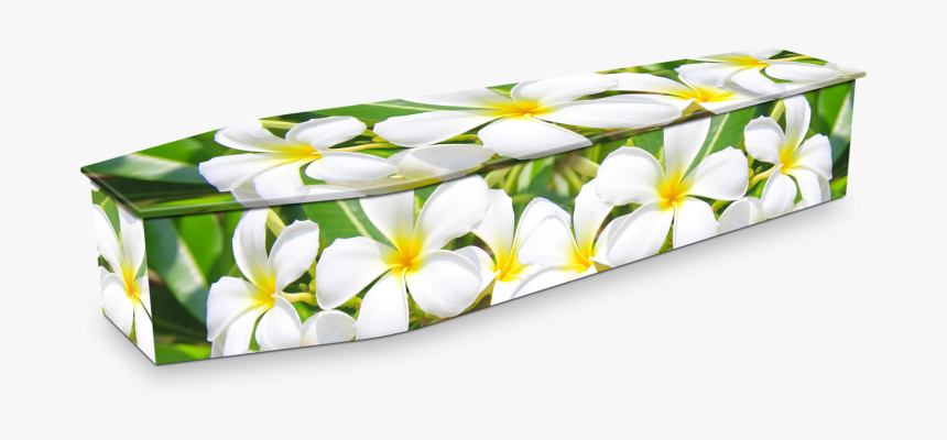 Funeral Frangipani Sheaf Vic, HD Png Download, Free Download