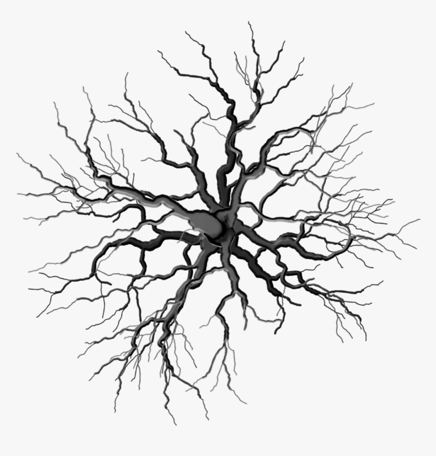 Collection Of Free Roots Drawing Dead Tree Download - Tree Top Png Black, Transparent Png, Free Download