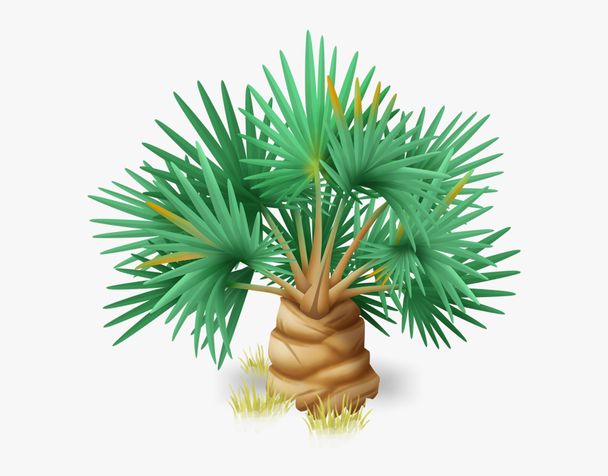 Hay Day Wiki - Sabal Palmetto, HD Png Download, Free Download