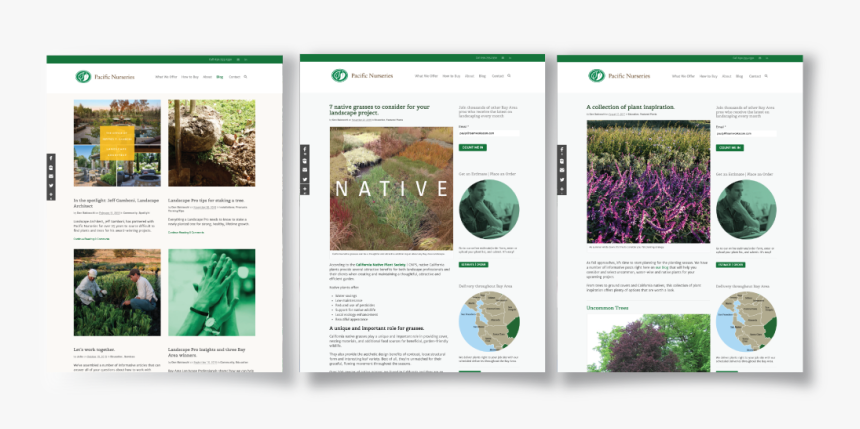 Pacific Nurseries Blog Posts - Website, HD Png Download, Free Download