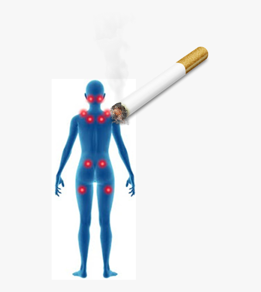 Cigarette Png Transparent Background , Png Download - Burning Cigarette Cigarette 3d Vector, Png Download, Free Download