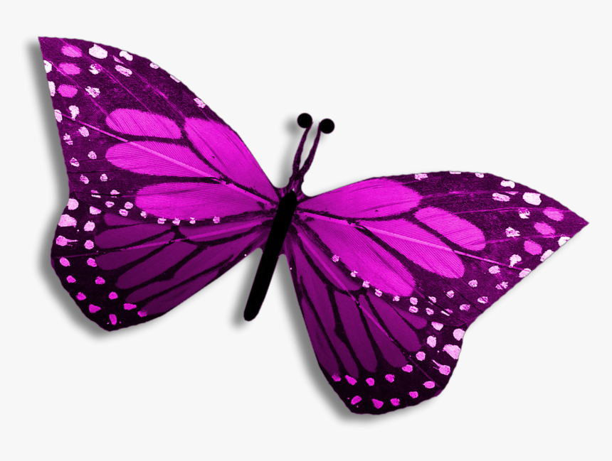 Purple Clipart Editing Picsart Butterfly Pretty Clipart - Clip Art, HD Png Download, Free Download