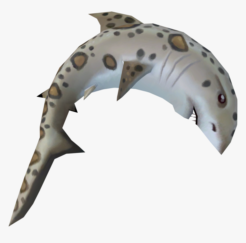 The Runescape Wiki - Wobbegong Island Runescape, HD Png Download, Free Download