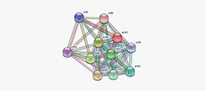 Anfh Protein - Circle, HD Png Download, Free Download