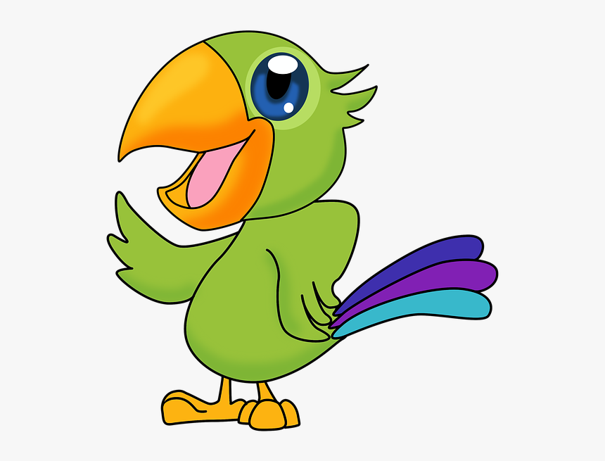 Parrot Drawing, HD Png Download, Free Download