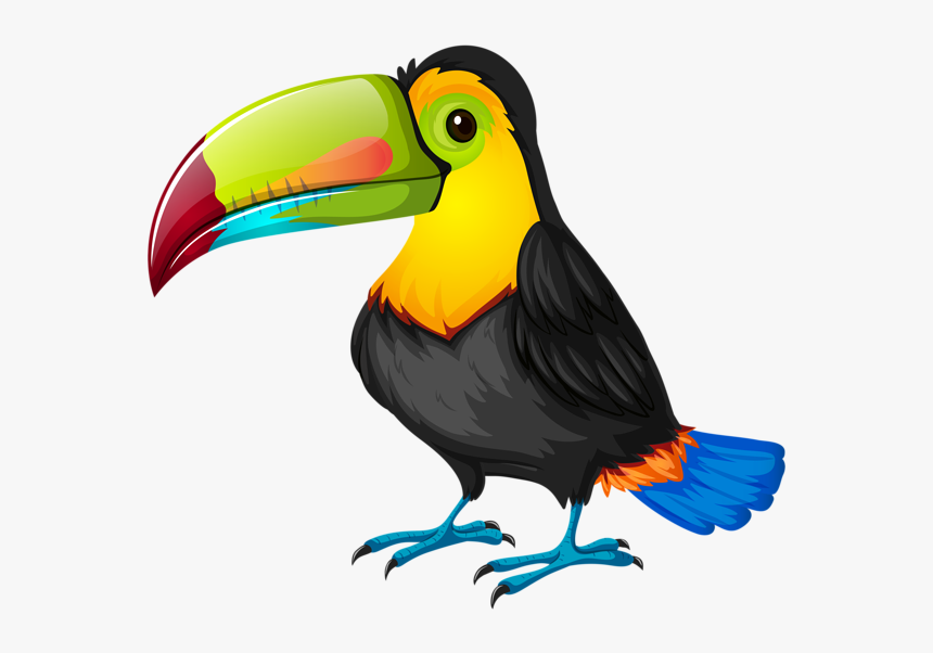 Parrot Clipart Bird Hawaiian - Toucan Cartoon Png, Transparent Png, Free Download