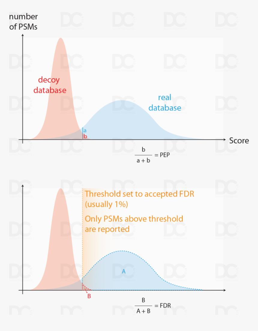 Diagram, HD Png Download, Free Download