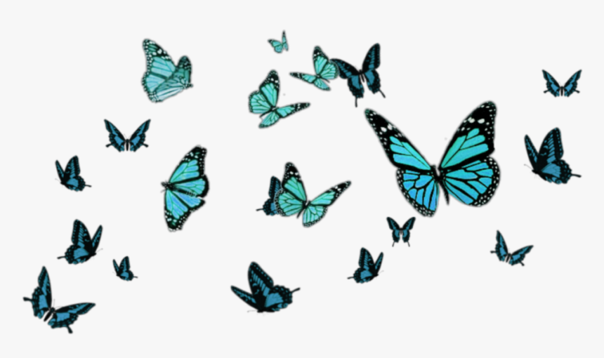 #blue #borboletas - Butterfly Png For Editing, Transparent Png, Free Download