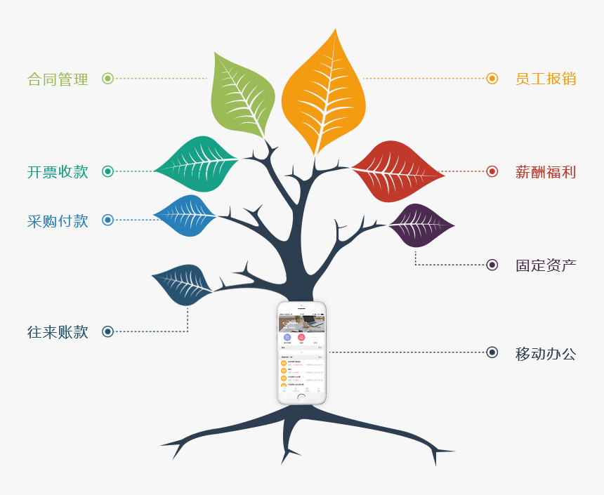 Tree Graph Chart, HD Png Download, Free Download