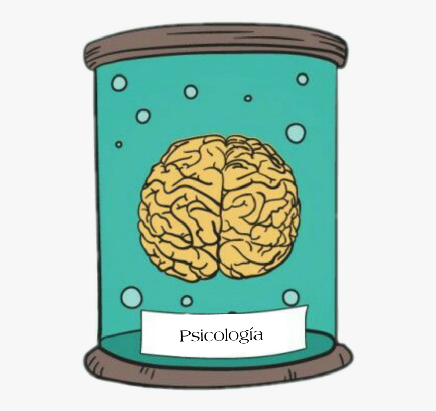 #psicología #poramoralapsicología #brain #cerebro #palabrassabias - Transparent Png Clipart Brains Cartoon, Png Download, Free Download