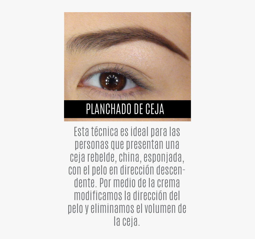 Diseño De Cejas - Eye Liner, HD Png Download, Free Download