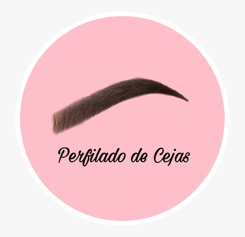 #perfilado De Cejas #cejas - Plate, HD Png Download, Free Download