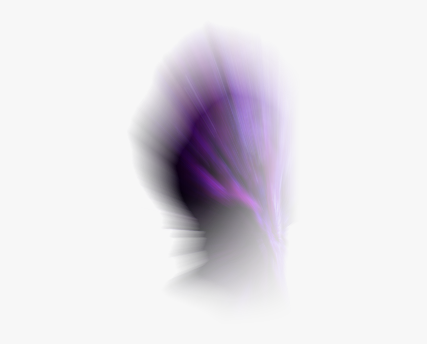 Madeline Purple Blur - Macro Photography, HD Png Download, Free Download