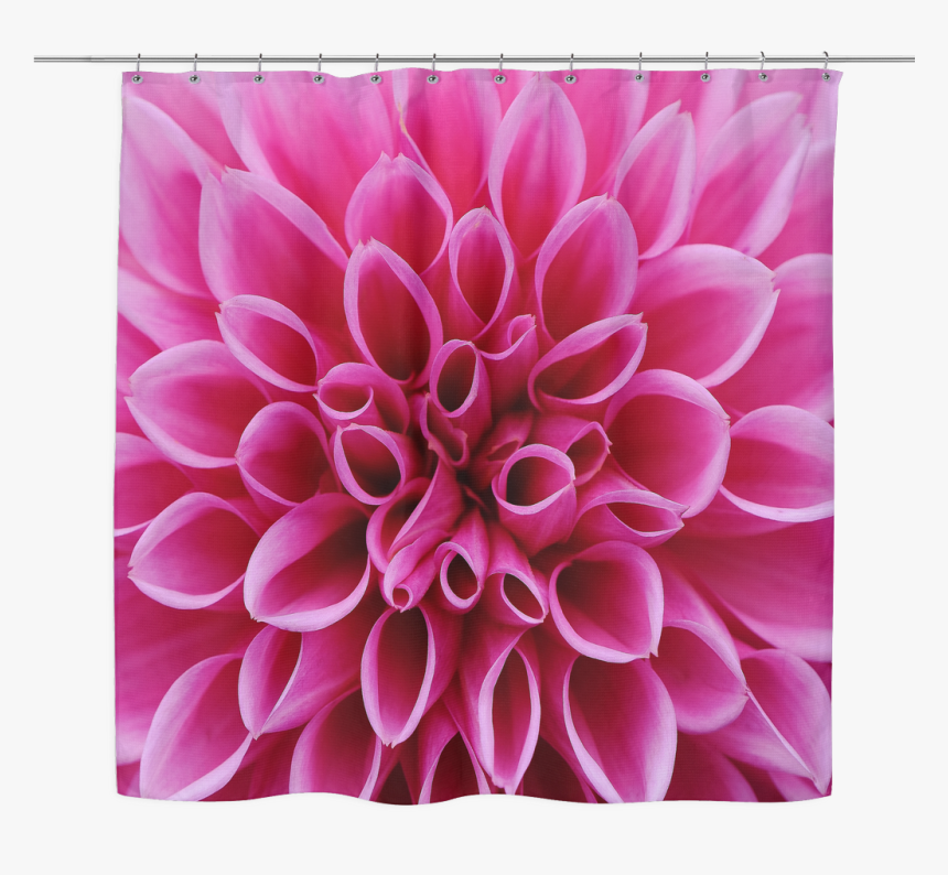 Dahlia, HD Png Download, Free Download