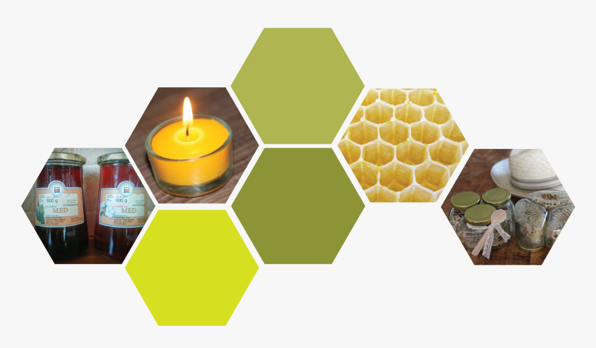 Produkti New - Circle - Beekeeping, HD Png Download, Free Download