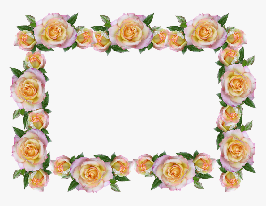 Frame Border Peace Rose Decorative Peace Rose Border - Decorative Rose Border Design, HD Png Download, Free Download