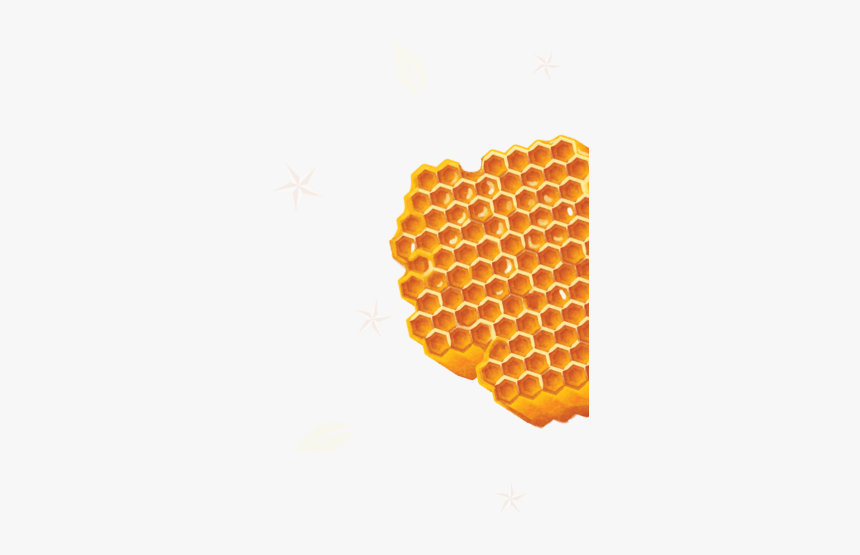 Honeycomb, HD Png Download, Free Download