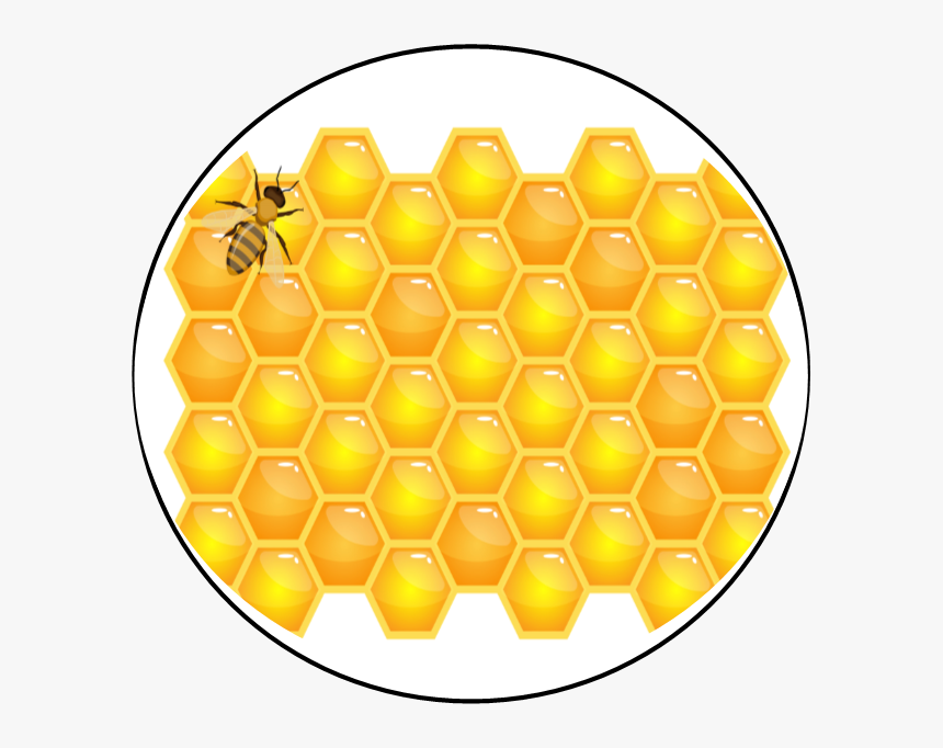 Honeycomb, HD Png Download, Free Download