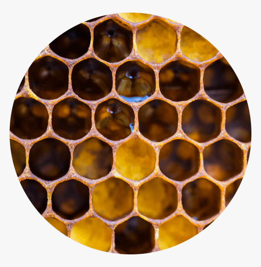 Close Up Of A Honeycomb - Honeycomb, HD Png Download, Free Download