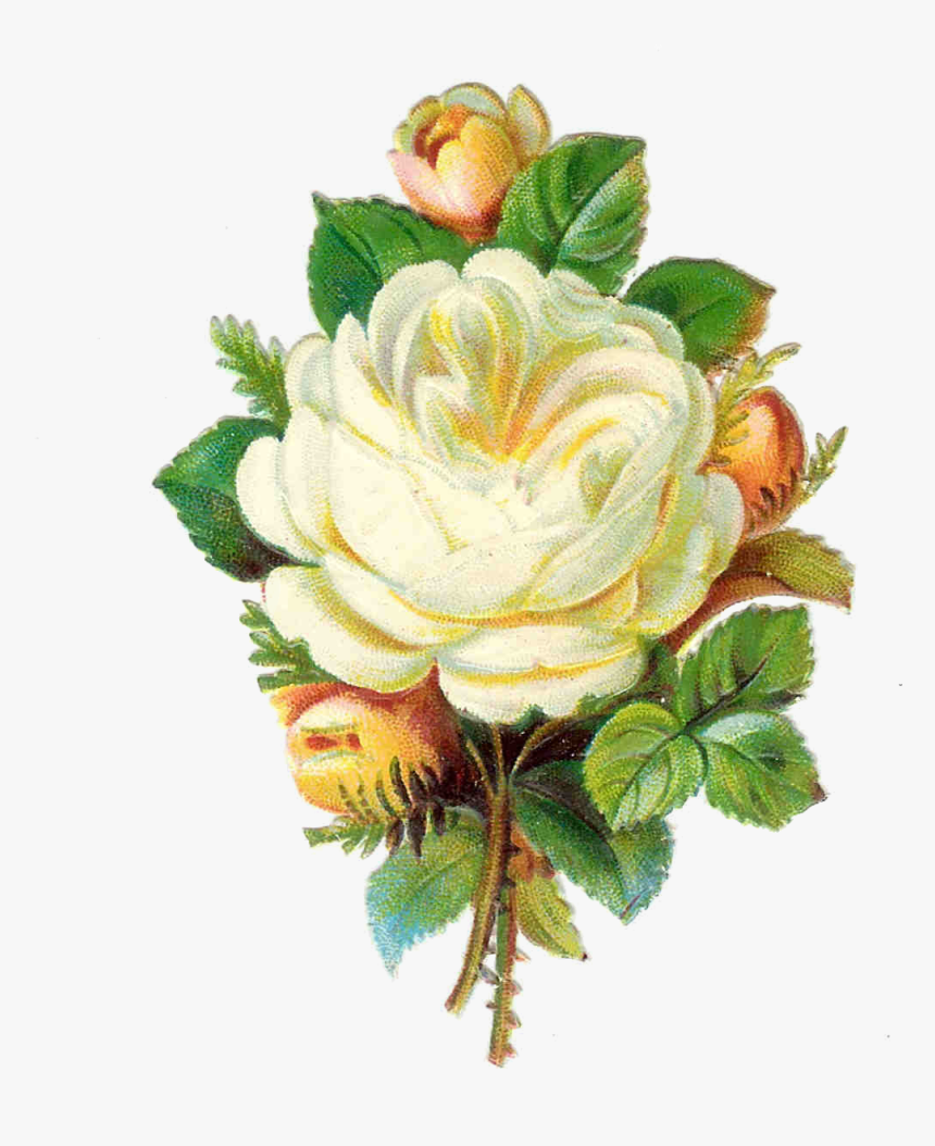 Vintage Rose Png - Hd Flower Vintage Png, Transparent Png, Free Download