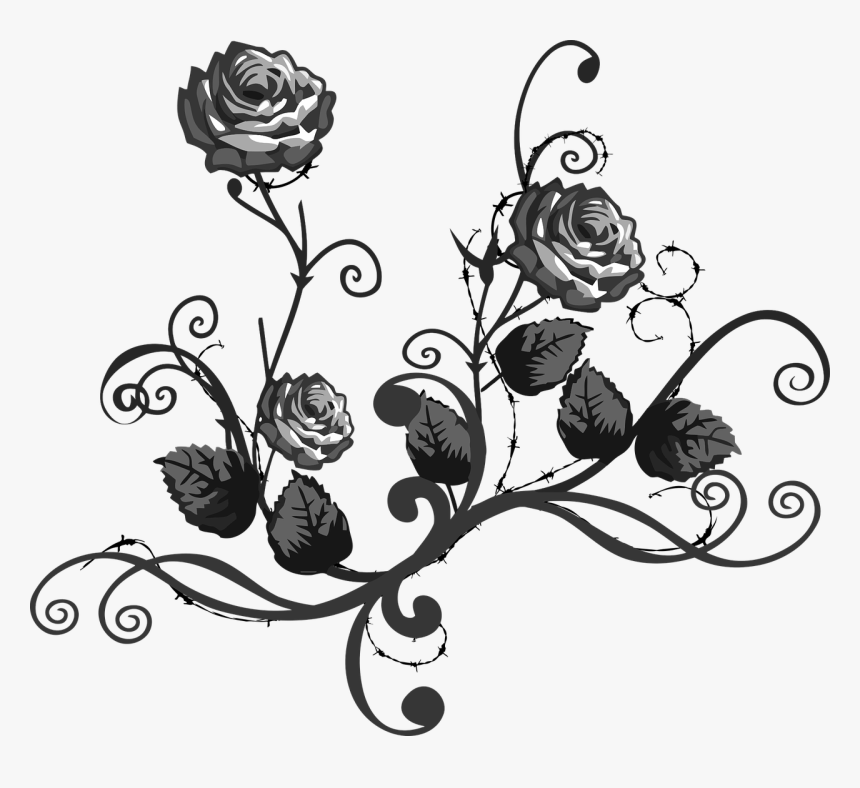 Rose Black White Floral Elegant Png Image - Black White Rose Transparent, Png Download, Free Download
